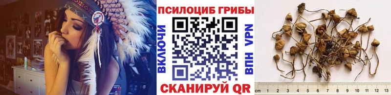 магазин    Онега  Галлюциногенные грибы мухоморы 